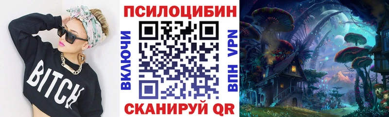 Галлюциногенные грибы Psilocybine cubensis  Купить закладки  Далматово 